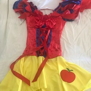 Snow White adult costume